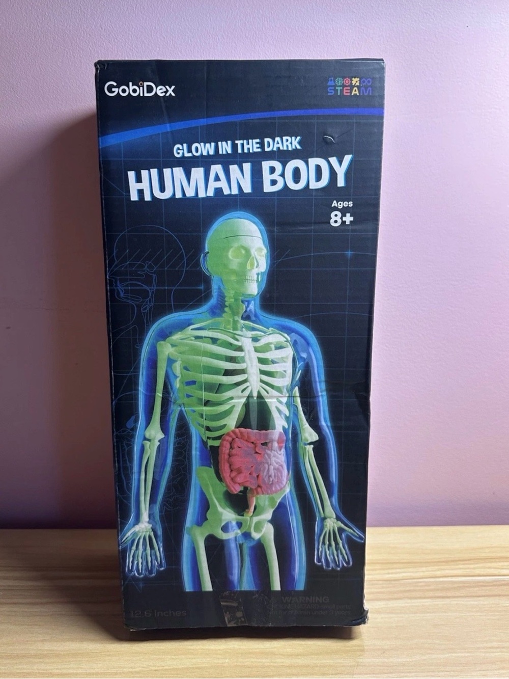 Amazon Glow-in-the-Dark Human Body Action Figure - Green, Pink
